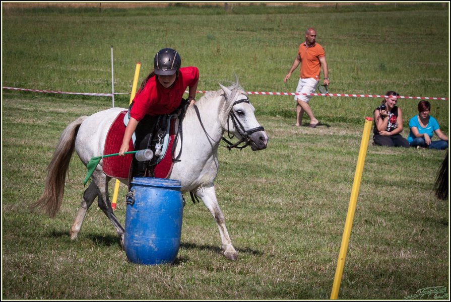 Mounted Games 293
